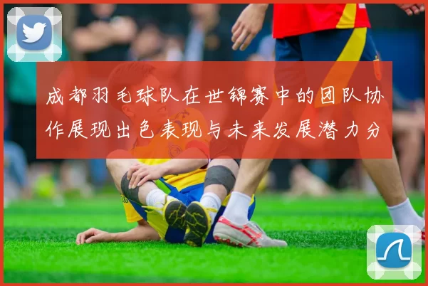 成都羽毛球队在世锦赛中的团队协作展现出色表现与未来发展潜力分析