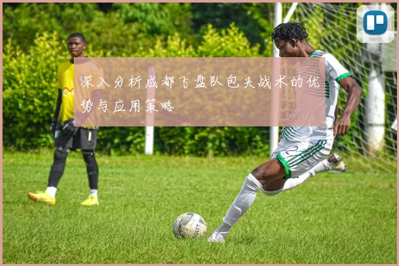 深入分析成都飞盘队包夹战术的优势与应用策略