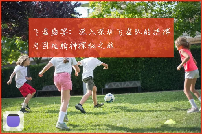 飞盘盛宴：深入深圳飞盘队的拼搏与团结精神探秘之旅