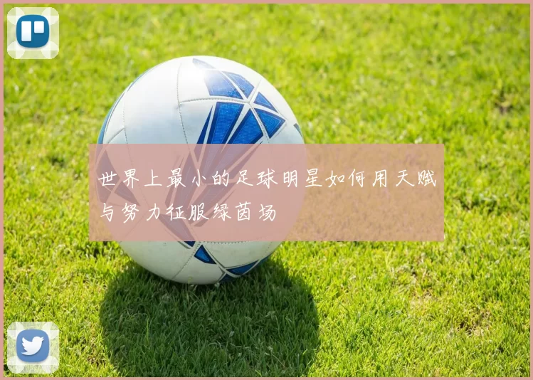 世界上最小的足球明星如何用天赋与努力征服绿茵场