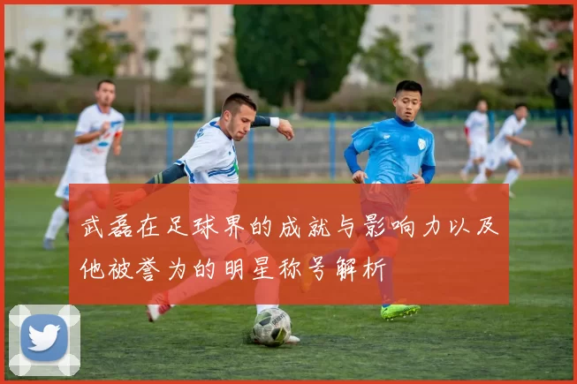 武磊在足球界的成就与影响力以及他被誉为的明星称号解析