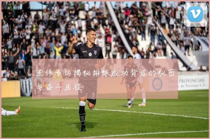 王伟专访揭秘排球成功背后的秘密与奋斗历程