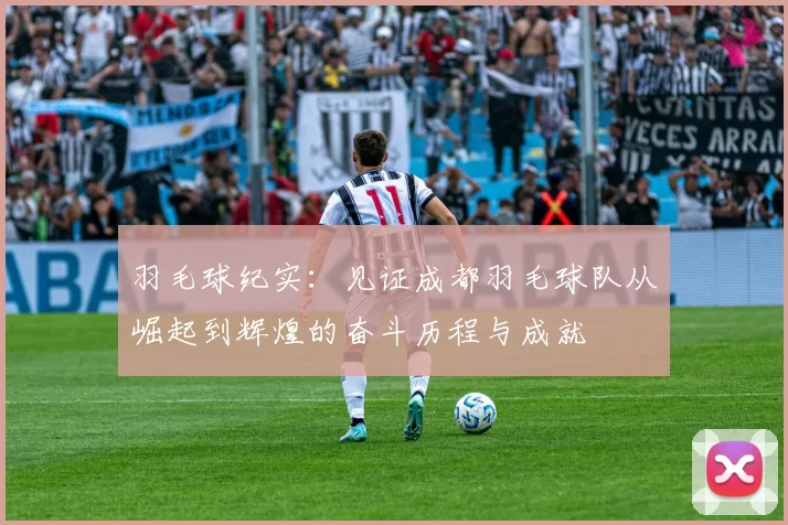 羽毛球纪实：见证成都羽毛球队从崛起到辉煌的奋斗历程与成就