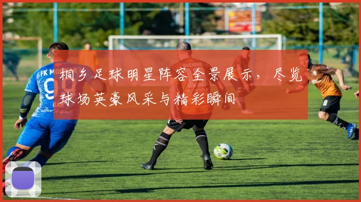 桐乡足球明星阵容全景展示，尽览球场英豪风采与精彩瞬间
