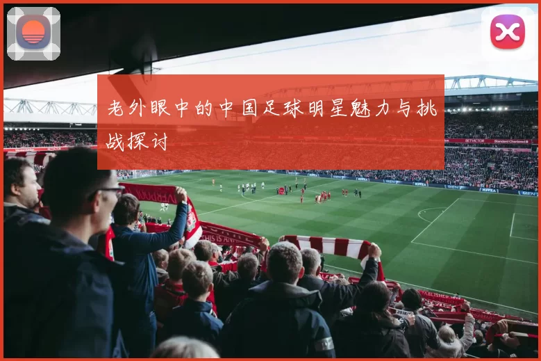 老外眼中的中国足球明星魅力与挑战探讨
