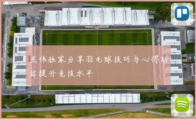 王伟独家分享羽毛球技巧与心得助你提升竞技水平