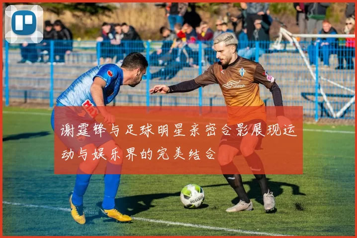 谢霆锋与足球明星亲密合影展现运动与娱乐界的完美结合
