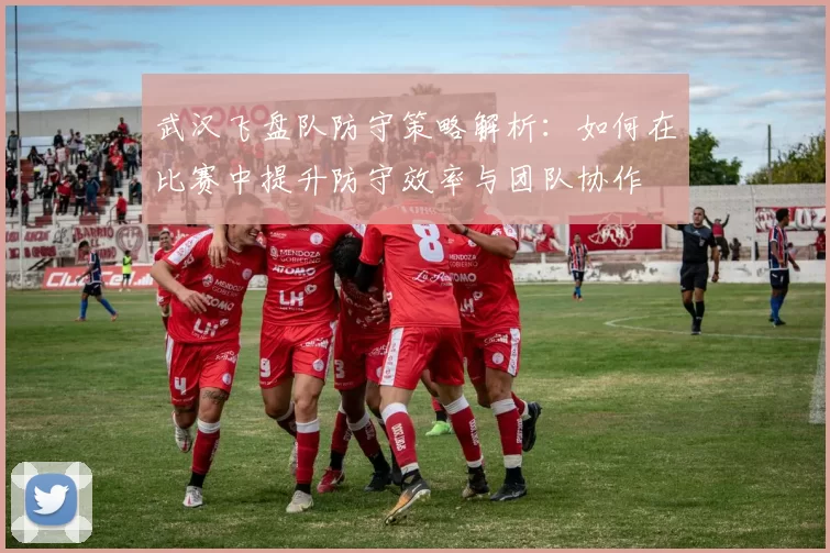 武汉飞盘队防守策略解析：如何在比赛中提升防守效率与团队协作