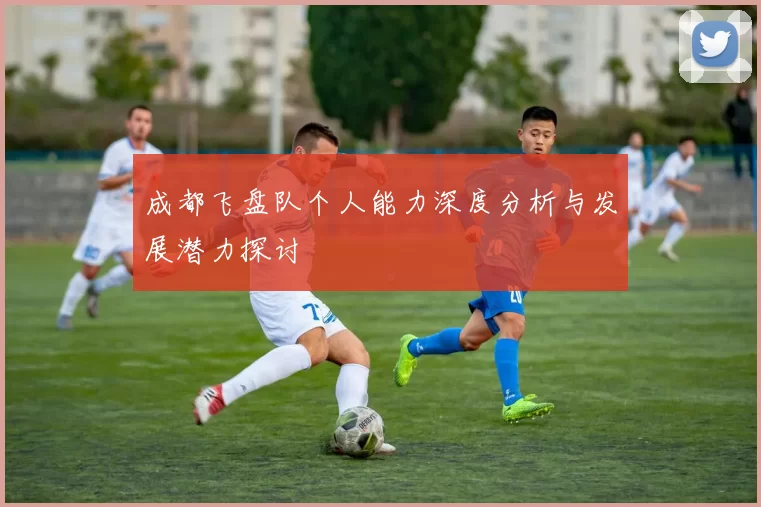 成都飞盘队个人能力深度分析与发展潜力探讨