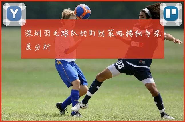 深圳羽毛球队的盯防策略揭秘与深度分析