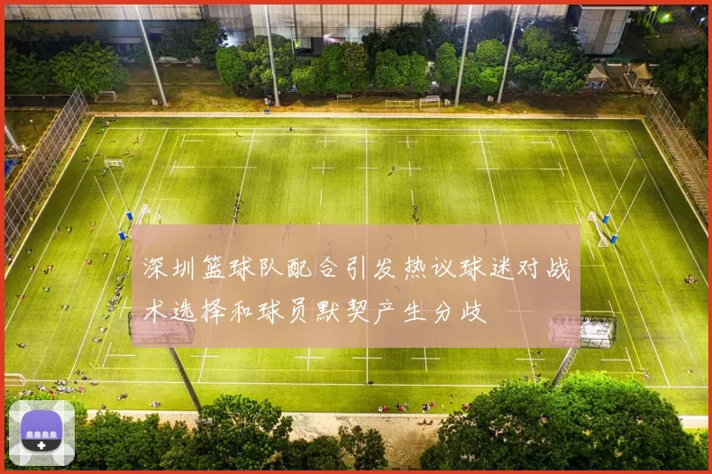 深圳篮球队配合引发热议球迷对战术选择和球员默契产生分歧