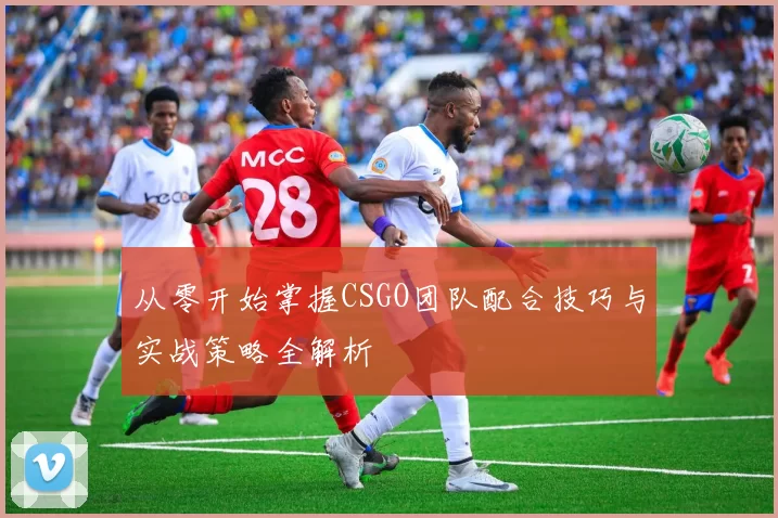 从零开始掌握CSGO团队配合技巧与实战策略全解析