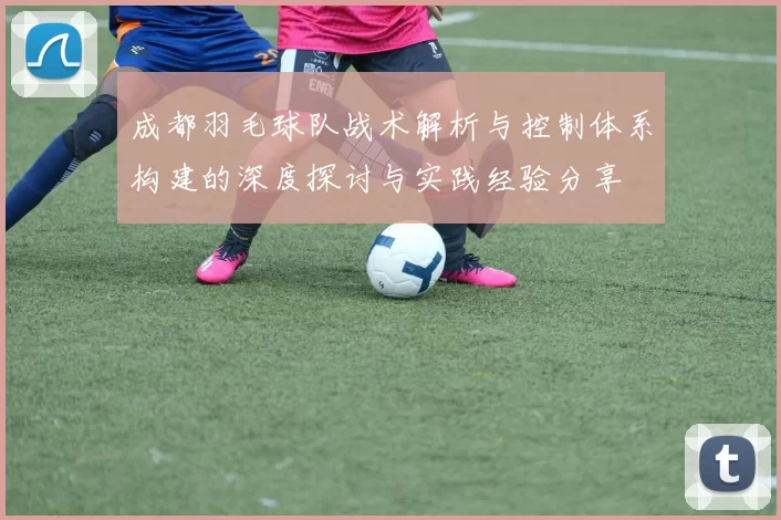 成都羽毛球队战术解析与控制体系构建的深度探讨与实践经验分享