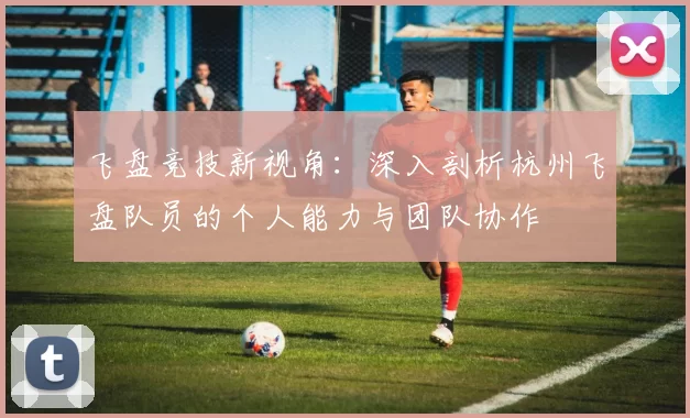 飞盘竞技新视角：深入剖析杭州飞盘队员的个人能力与团队协作