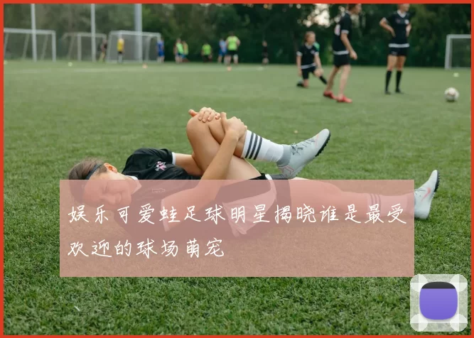 娱乐可爱蛙足球明星揭晓谁是最受欢迎的球场萌宠