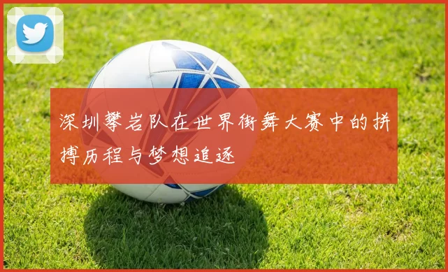 深圳攀岩队在世界街舞大赛中的拼搏历程与梦想追逐