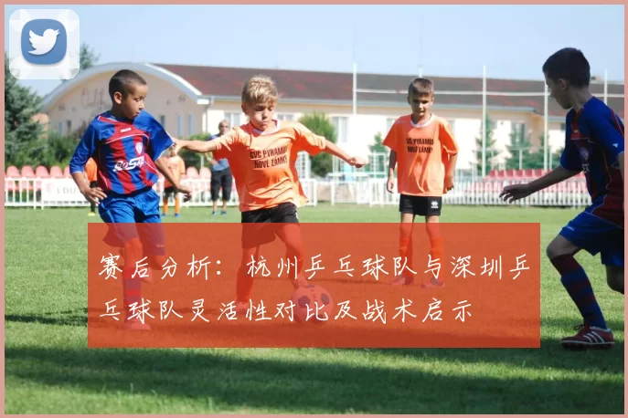 赛后分析：杭州乒乓球队与深圳乒乓球队灵活性对比及战术启示