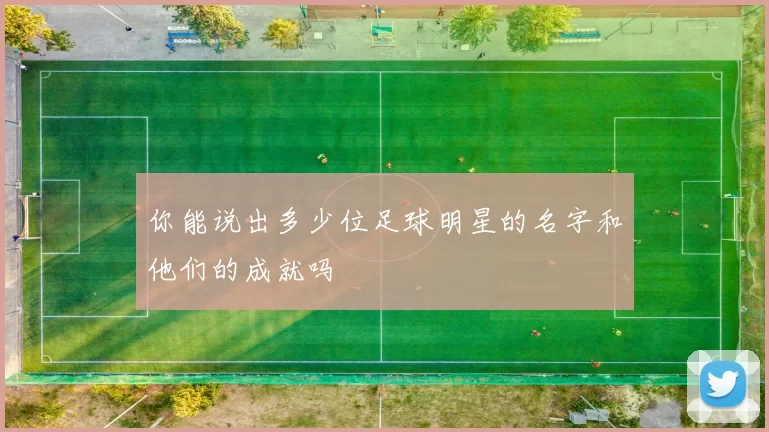 你能说出多少位足球明星的名字和他们的成就吗