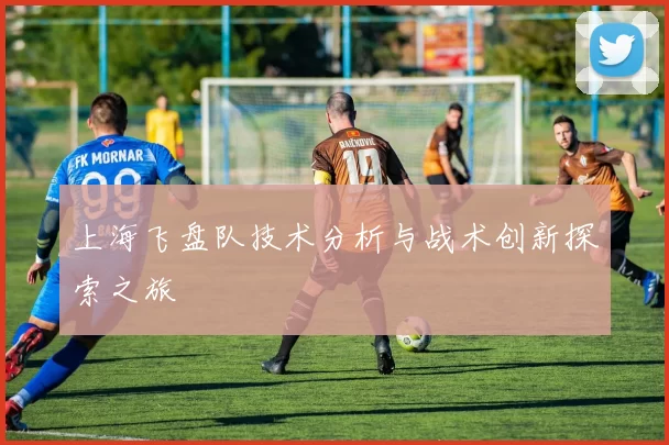 上海飞盘队技术分析与战术创新探索之旅