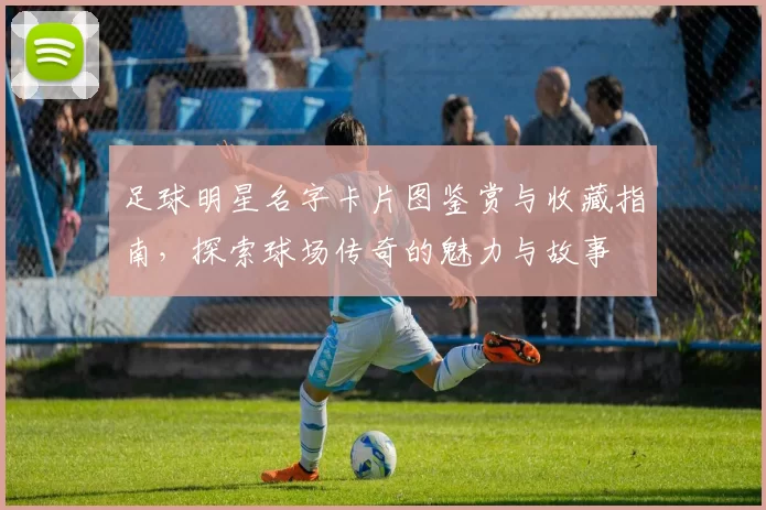 足球明星名字卡片图鉴赏与收藏指南，探索球场传奇的魅力与故事