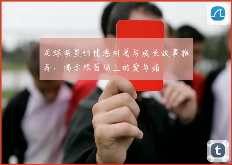 足球明星的情感纠葛与成长故事推荐，揭示绿茵场上的爱与痛
