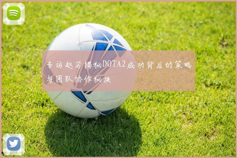 专访赵芳揭秘DOTA2成功背后的策略与团队协作秘诀