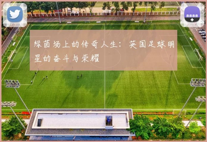 绿茵场上的传奇人生：英国足球明星的奋斗与荣耀