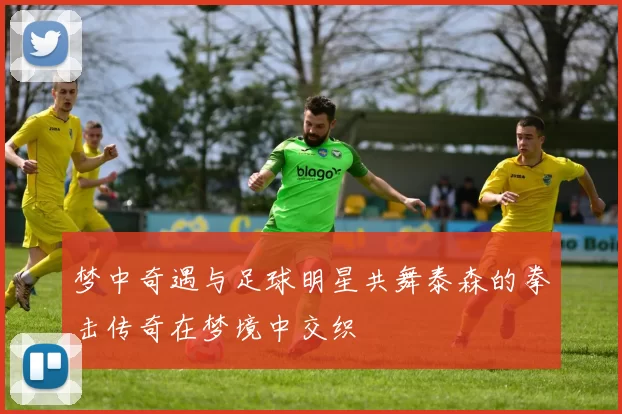 梦中奇遇与足球明星共舞泰森的拳击传奇在梦境中交织