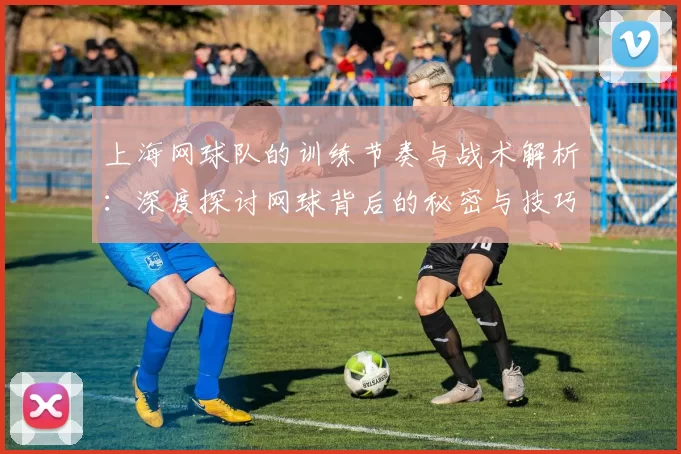 上海网球队的训练节奏与战术解析：深度探讨网球背后的秘密与技巧