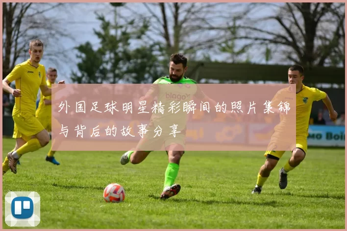 外国足球明星精彩瞬间的照片集锦与背后的故事分享